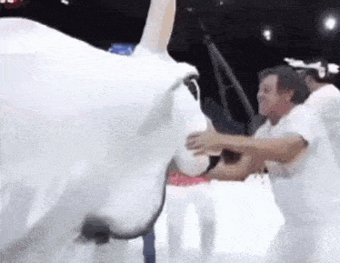 a group of people are standing around a large white cow .