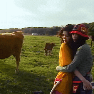 a woman hugging another woman in a field with a cow in the background