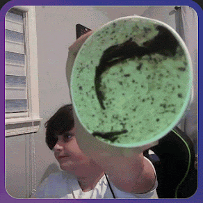 a person is holding a bowl of green ice cream with a black swirl