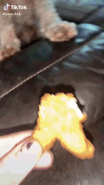 Dogs Among Us GIF - Dogs Among Us Chicken Nugget GIFs