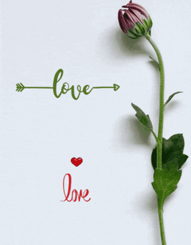 a picture of a man and a woman with the word love on the bottom