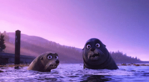 Seal Cute GIF - Seal Cute Swim GIFs