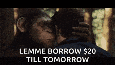 a monkey is hugging a man in a forest and says `` lemme borrow $ 20 till tomorrow ''