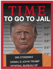 donald trump 's mug shot is on a time magazine cover