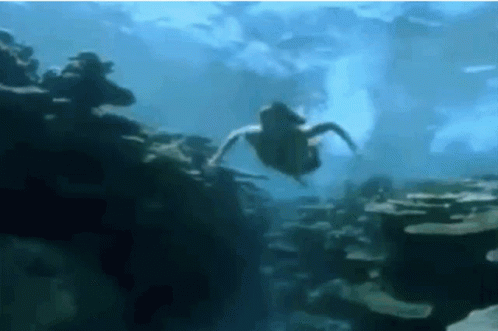 Tv Shows Television GIF - Tv Shows Television Ocean Girl GIFs