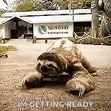 Sloth Crawling GIF - Sloth Crawling Slow GIFs