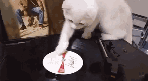 a white cat is playing a record on a turntable with a picture of a man in the background
