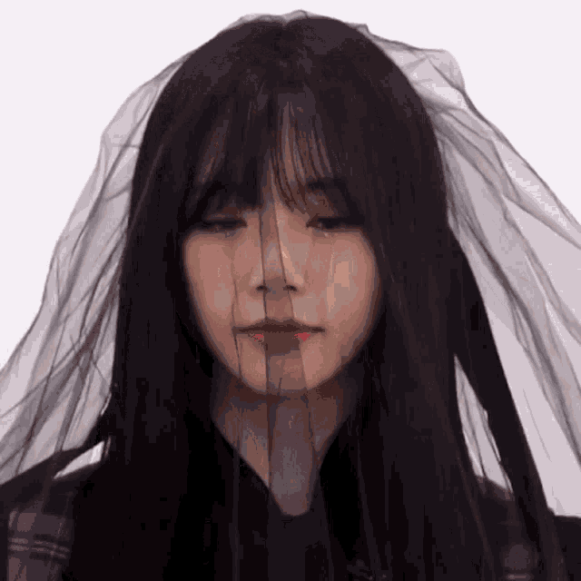 a woman with long black hair and a black veil on her head