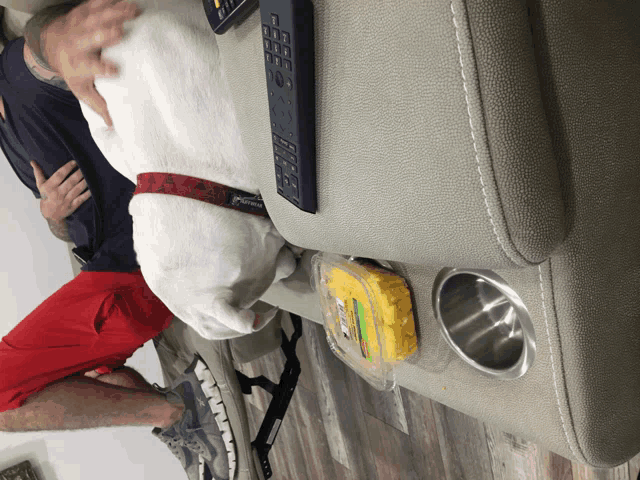 a dog laying on a couch next to a remote control and a bag of cheetos