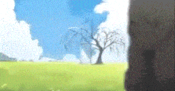 a tree is standing in the middle of a field with a blue sky in the background .