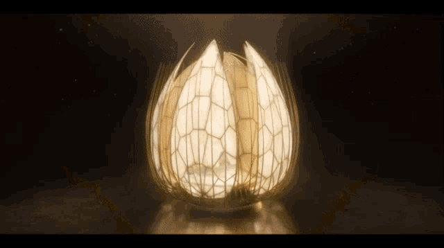 a lamp that looks like a flower is lit up in the dark