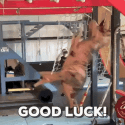 a dog is jumping in the air with the words good luck written on the bottom