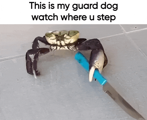 a crab is holding a knife in its claws and says this is my guard dog watch where u step