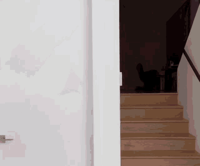 a cat is sitting on the steps of a staircase