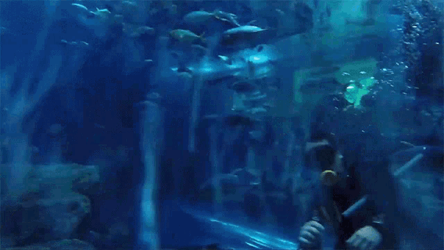 a scuba diver is swimming in a large aquarium with a waterfall in the background