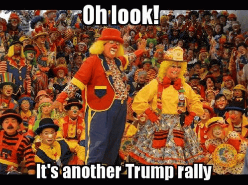 Clowns Trump GIF - Clowns Trump Clown GIFs