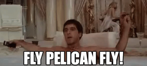 Fly Pelican Fly Scarface GIF - Fly Pelican Fly Scarface GIFs