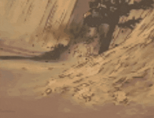 a car is driving down a dirt road next to a tree .