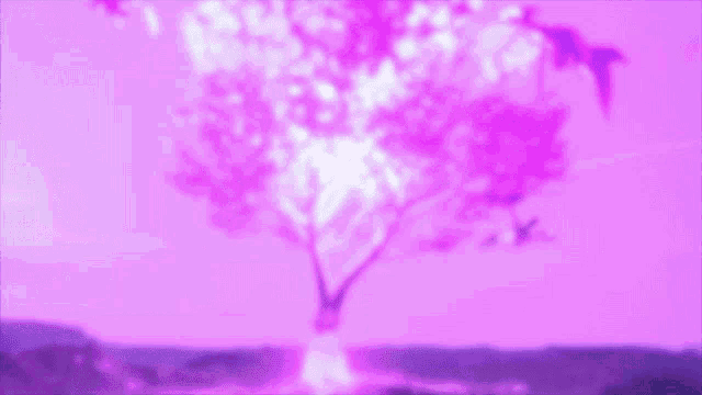 Kiraverse Floating Tree GIF - Kiraverse Floating Tree No Roots GIFs