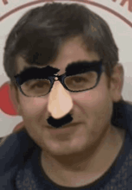 a man wearing glasses and a fake mustache