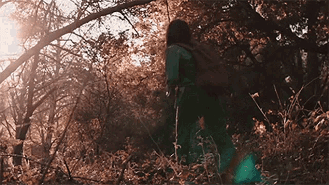 a person with a backpack walking through a forest