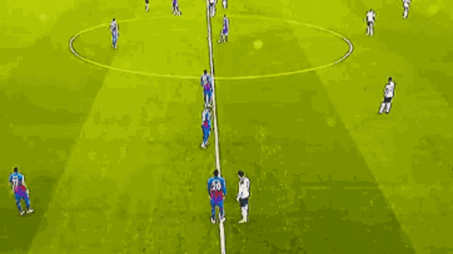 a group of soccer players are playing on a field .
