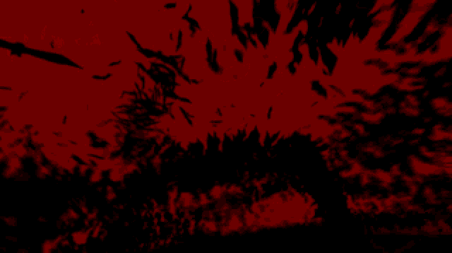 a red and black background with a few lines