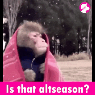a monkey wrapped in a red blanket is standing in the snow in a park .