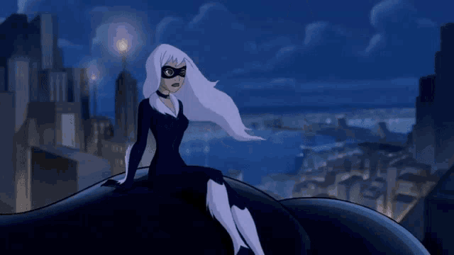a cartoon of black cat and spider-man in a city at night