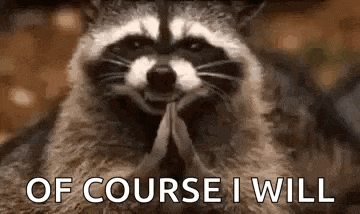 a raccoon is praying with its hands folded and the words `` of course i will '' written below it .