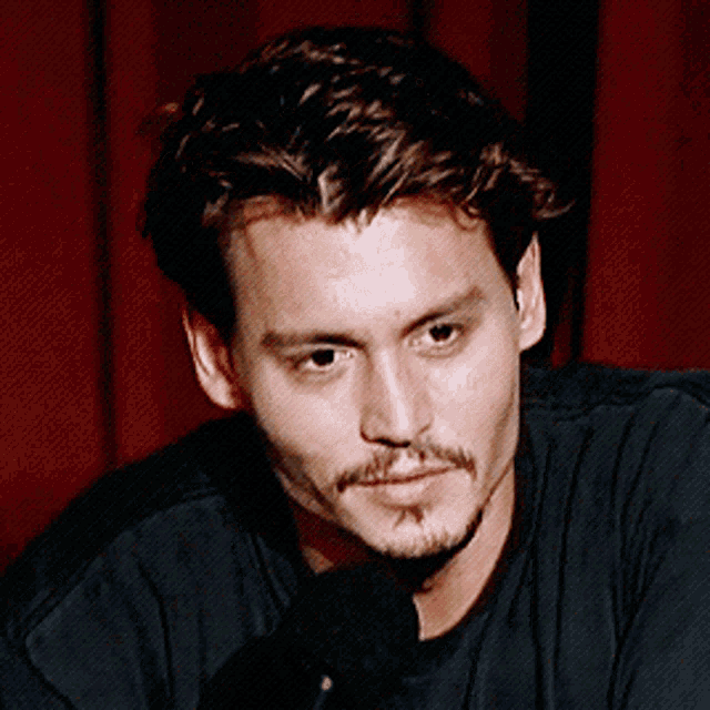 Johnny Depp Raise Eyebrow GIF