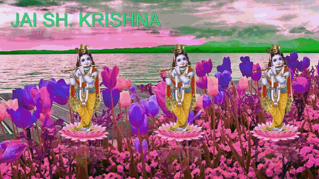 Jaish Krishna Flower GIF - Jaish Krishna Flower Changing Colors GIFs