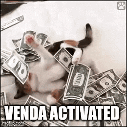 a cat is laying on top of a pile of money with the words venda activated above it .