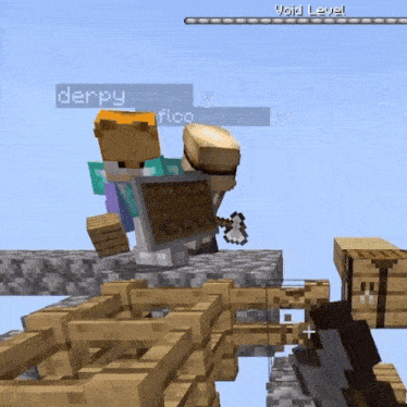 a screenshot of a minecraft game with the words void level visible