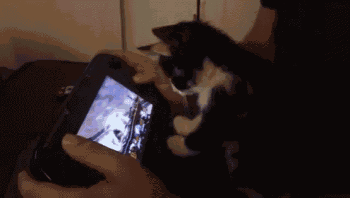 a black and white cat is playing a video game