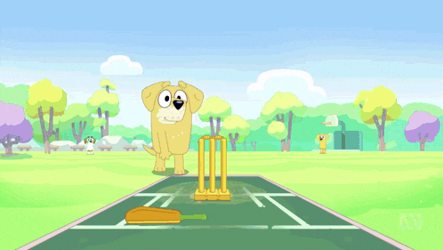 a dog is playing a game of cricket with another dog in the background