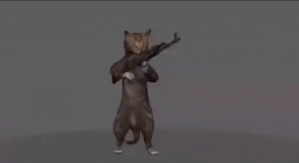 a cat is standing on its hind legs holding a gun .
