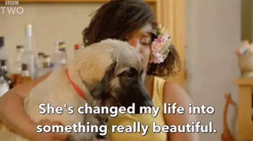 Dogs Are The Best GIF - 10puppies And Us Shes Changed My Life Into Something Really Beautiful Dog GIFs