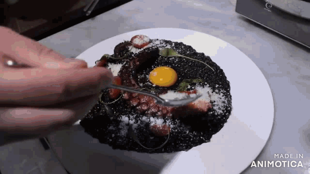 a plate of food with the words made in animatica on it