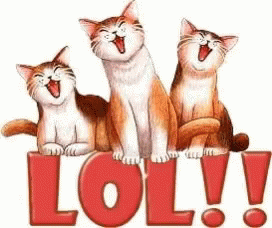 Cats Laughing GIF - Cats Laughing Ha Ha Ha GIFs