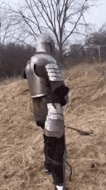 a person in armor is standing in a field with a sword .