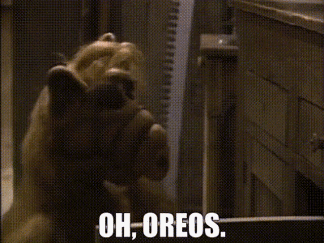 a close up of a person holding a bag of oreos