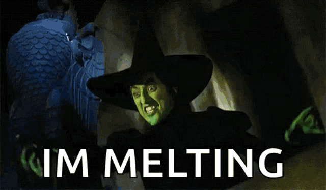 the wicked witch from the wizard of oz is melting in a cave .