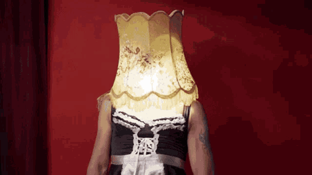 a woman in a maid outfit has a lamp covering her head