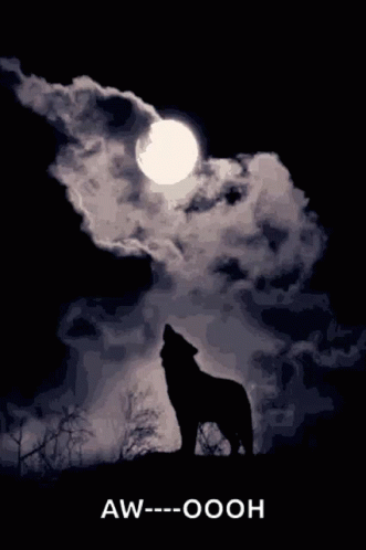 Howling Wolf Full Moon GIF - Howling Wolf Full Moon Cloudy GIFs