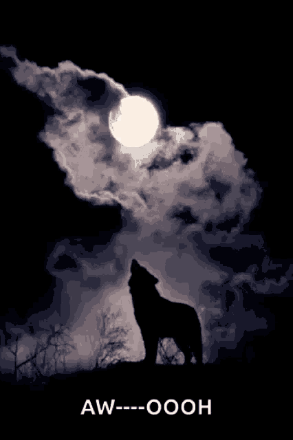 a silhouette of a wolf howling at the moon with aw oooh written below it