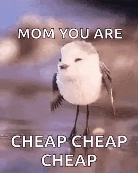 a small white bird is standing on a rock with the words `` mom you are cheap cheap cheap '' written on it .