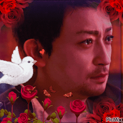 a picture of a man surrounded by red roses and a white bird with the words picmix at the bottom
