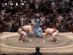 a sumo wrestler is fighting another wrestler in front of a crowd in a stadium