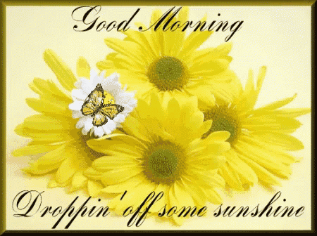 a good morning card with yellow daisies and a butterfly on it